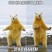 День 14