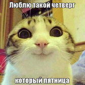 День 5