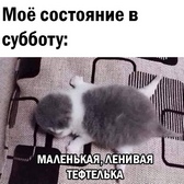 День 7